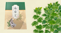 【行業(yè)資訊】國內(nèi)首部艾草專著《南陽艾》，在南陽新書首發(fā)！